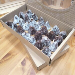 Vosí hnízda premium 500g
